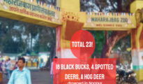 Video: Reality Check! How many lives flood claimed at Maharajbagh Zoo in Nagpur?