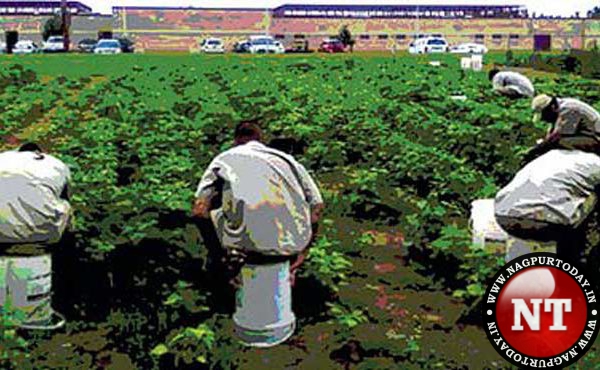 Open jail dilemma: 26 inmates escape in 5 years in State: Data