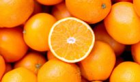 State approves 3 orange processing centres in Nagpur