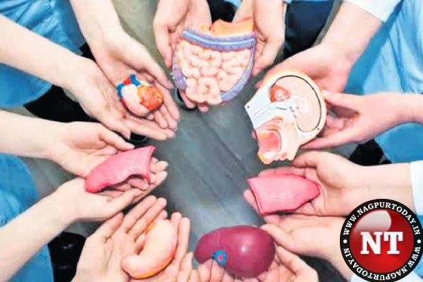 Noble act: Fourfold increase in organ donations in Nagpur
