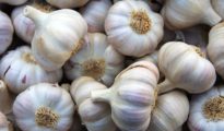 Too hot to handle: Garlic prices surge in Nagpur market on lower supplies