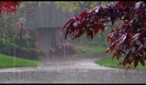 Moderate rain, hailstorm in Nagpur, East Vidarbha between Dec 5 & 7