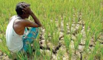 1,088 farmers committed suicide in Marathwada in 2023: Report