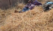 Two hunters electrocuted to death in Gondia