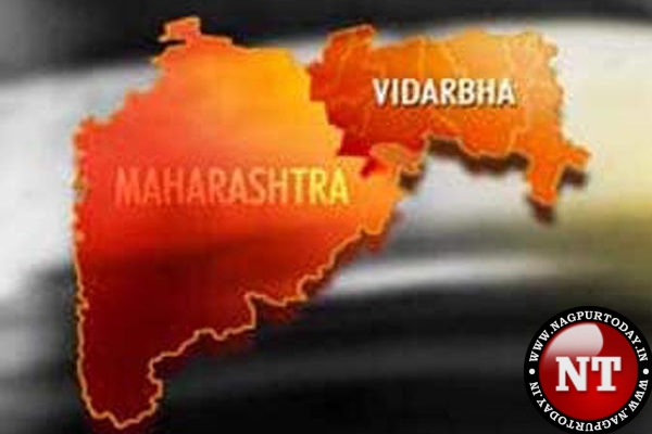 Debating the Need for a Separate Vidarbha State Amidst VRAS Protests