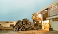 SGST conducts raid on timber merchant in Nagpur