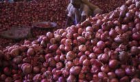 Onion export ban to continue till Mar 31: Govt