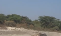 Video: Breach in Koradi’s ash bund behind Jagdamba Mandir; several trucks drowned