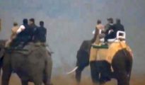 Modi takes elephant safari in Kaziranga