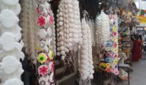 Holi buzz in Nagpur: Markets deck up with celebrity-themed pichkaris, masks for Festival of Colours
