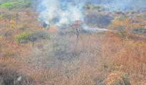 Ambazari Biodiversity Park reports fire for two consecutive days in Nagpur