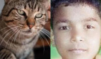 Boy Dies in Cat Attack in Nagpur