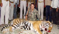 High Court dumps PIL on killing of tigress Avni