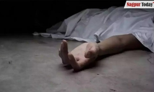 Teenage girl who jumped from flyover in Nagpur dies of injuries - Vimarsana News