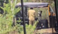 Auto driver arrested for molesting minor school girl in Nagpur