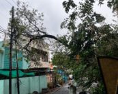 Unseasonal rain wreaks havoc in Nagpur, uproots trees, disrupts power supply