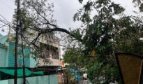 Unseasonal rain wreaks havoc in Nagpur, uproots trees, disrupts power supply