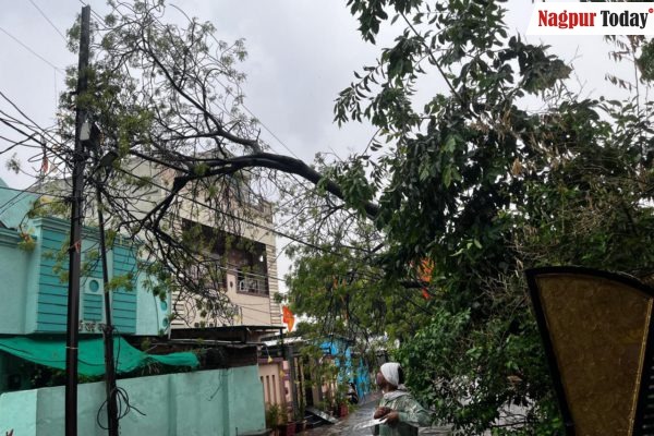 Unseasonal rain wreaks havoc in Nagpur, uproots trees, disrupts power supply