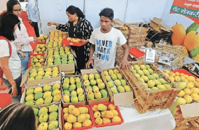 Four-day Mango, Millet, Grain Festival begins in Nagpur