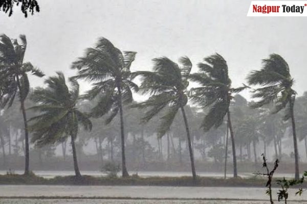 Will take 10 days to reach Maha after monsoon hits Kerala: IMD