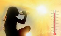Scorching Heat Grips Vidarbha: Nagpur Records 42.4°C, Akola Hottest at 44.2°C