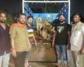 भाजपा युवा मोर्चे ने गोवंश छुड़ाया
