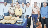 RPF seizes ganja worth Rs 2.68 lakh in train in Nagpur Division
