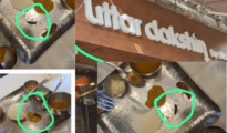 Video: Not Again! Now Dead Insect Found in Sambar at Uttar Dakshin by Naivedhyam, Sadar, Nagpur