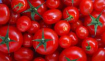 Consumers see red as tomato prices cross Rs 100/kg mark in Nagpur