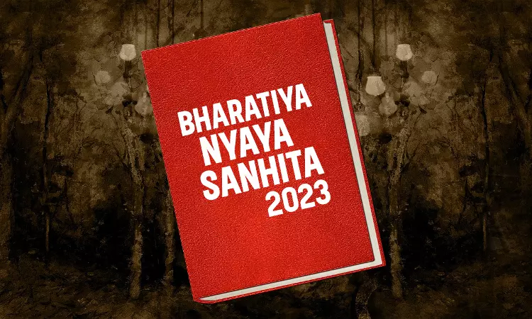 नागपुरातील वाठोड्यासह एमआयडीसी पोलीस स्टेशनमध्ये नवीन BNS कायद्यानुसार ...