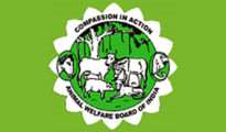 Animal Welfare Board of India starved of funds for 3 years: HC informed