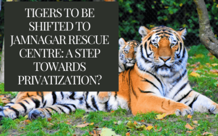Gorewada Rescue Centre in Nagpur