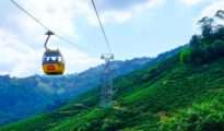 Ropeway Safari at Tadoba Andhari Tiger Reserve: A step closer to reality!