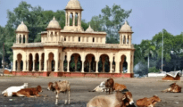 Nagpur HC Sets November Deadline for KP Ground Restoration Plan