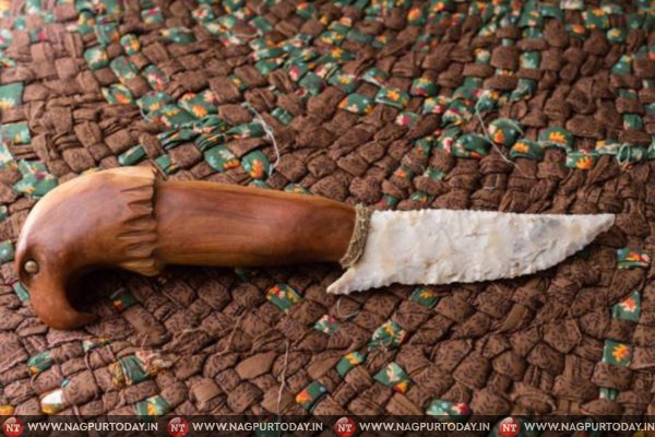 nagpurs teenage girl ends life after research on what happens after death