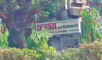 Ad agency operator arrested for daylight massacre of 562 trees in Nagpur
