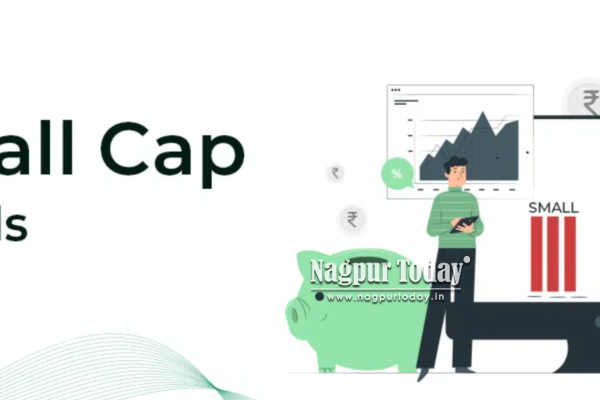 How to Assess Risk in Small-Cap Mutual Funds?