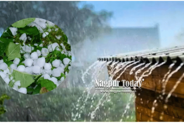 राज्यातील काही भागात उन्हाचा तडाखा तर १५ जिल्ह्यांना गारपीटीसह मुसळधार पावसाचा इशारा