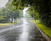 Weather Department Issues Thunderstorm Alert for Vidarbha