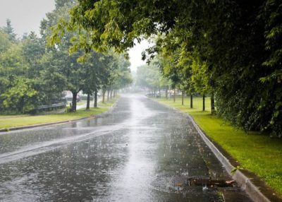 Weather Department Issues Thunderstorm Alert for Vidarbha