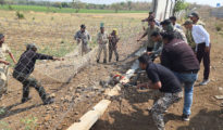 Leopard Rescued Near Samruddhi Expressway, Shifted to Gorewada Center