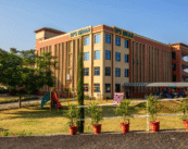 Outstanding performance by students of DPS MIHAN in Grade XII and Grade X Board Examination 2024-25