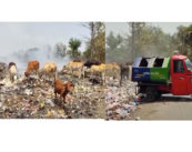 Garbage Crisis in Kanhan: Rising Environmental Threat Due to Negligence