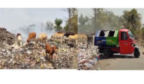 Garbage Crisis in Kanhan: Rising Environmental Threat Due to Negligence