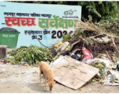 “A picture is worth a thousand words”: Will NMC bosses wake up to ground reality?