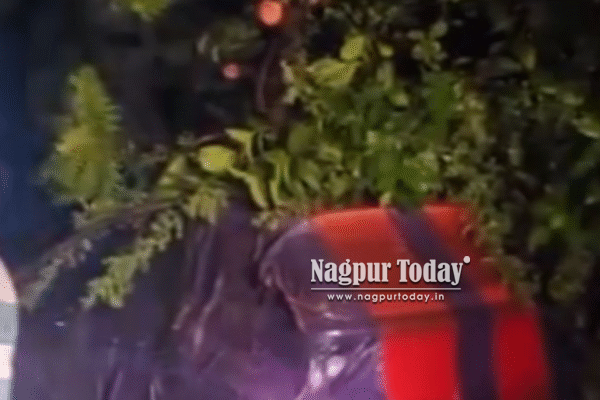 Sudden Rainstorm Batters Nagpur, Uproots Trees & Floods Roads