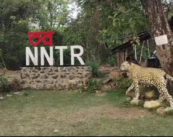 Video गोंदिया: NNTR वन्यजीवों के लिए बना वरदान , पशु गणना में दिखा रोमांच