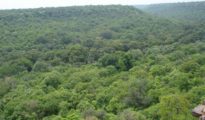 Historic: Supreme Court declares Zudpi jungle land as forest in Vidarbha