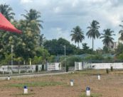 Encroachments on Reserved Land Will Not Be Regularized – High Court