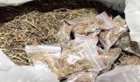 Nagpur cops nab smugglers with 108 kg ganja after hot pursuit
